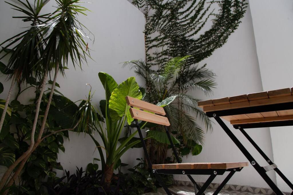 Alocasia Beautiful Apartment 부에노스아이레스 외부 사진